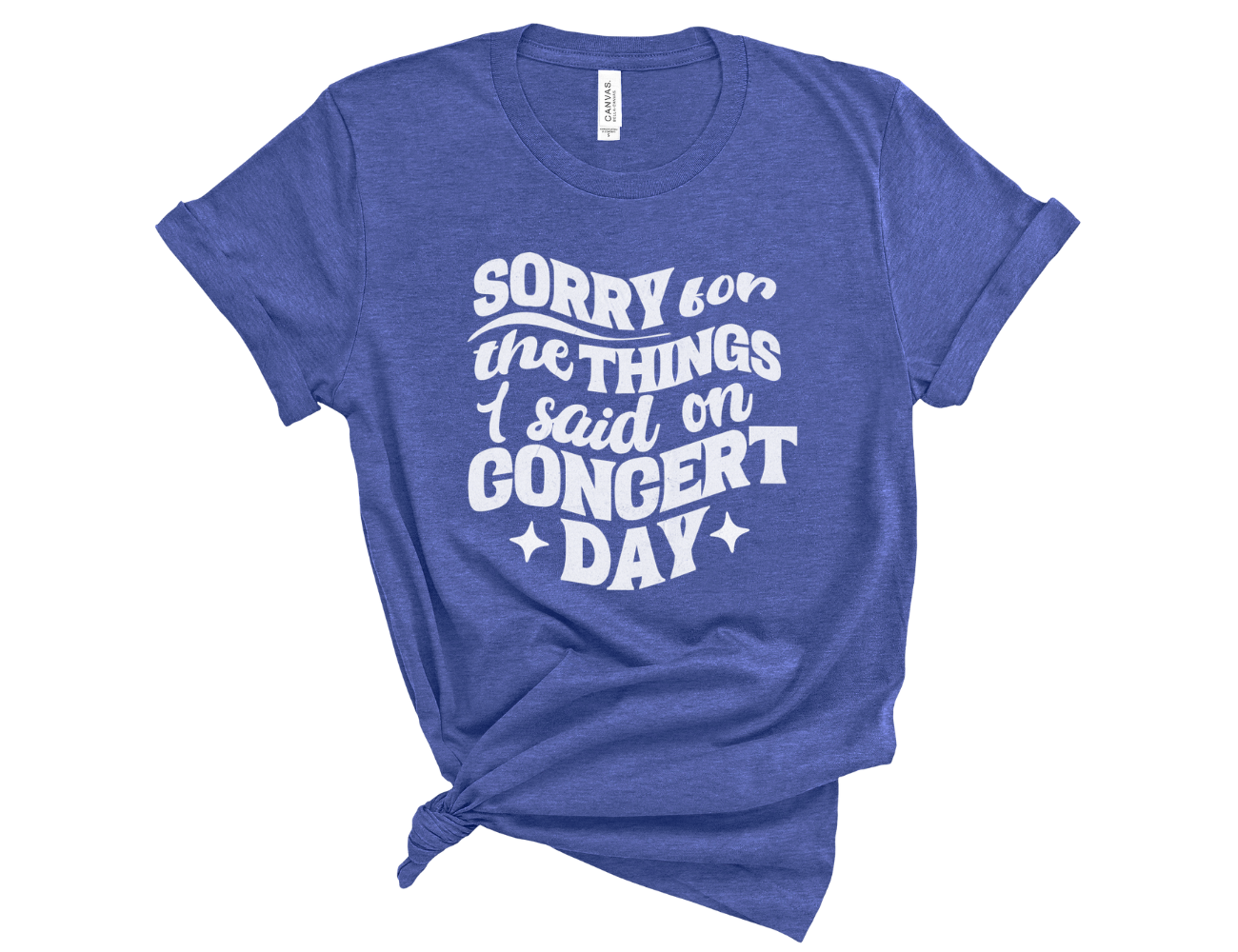 Sorry for the Things I Said on Concert Day Unisex Tee