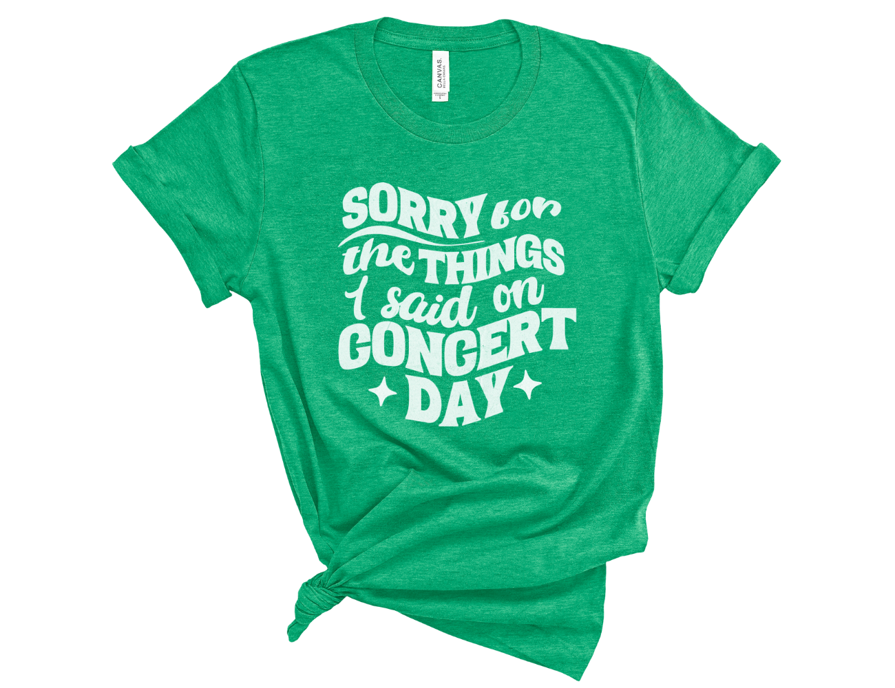 Sorry for the Things I Said on Concert Day Unisex Tee