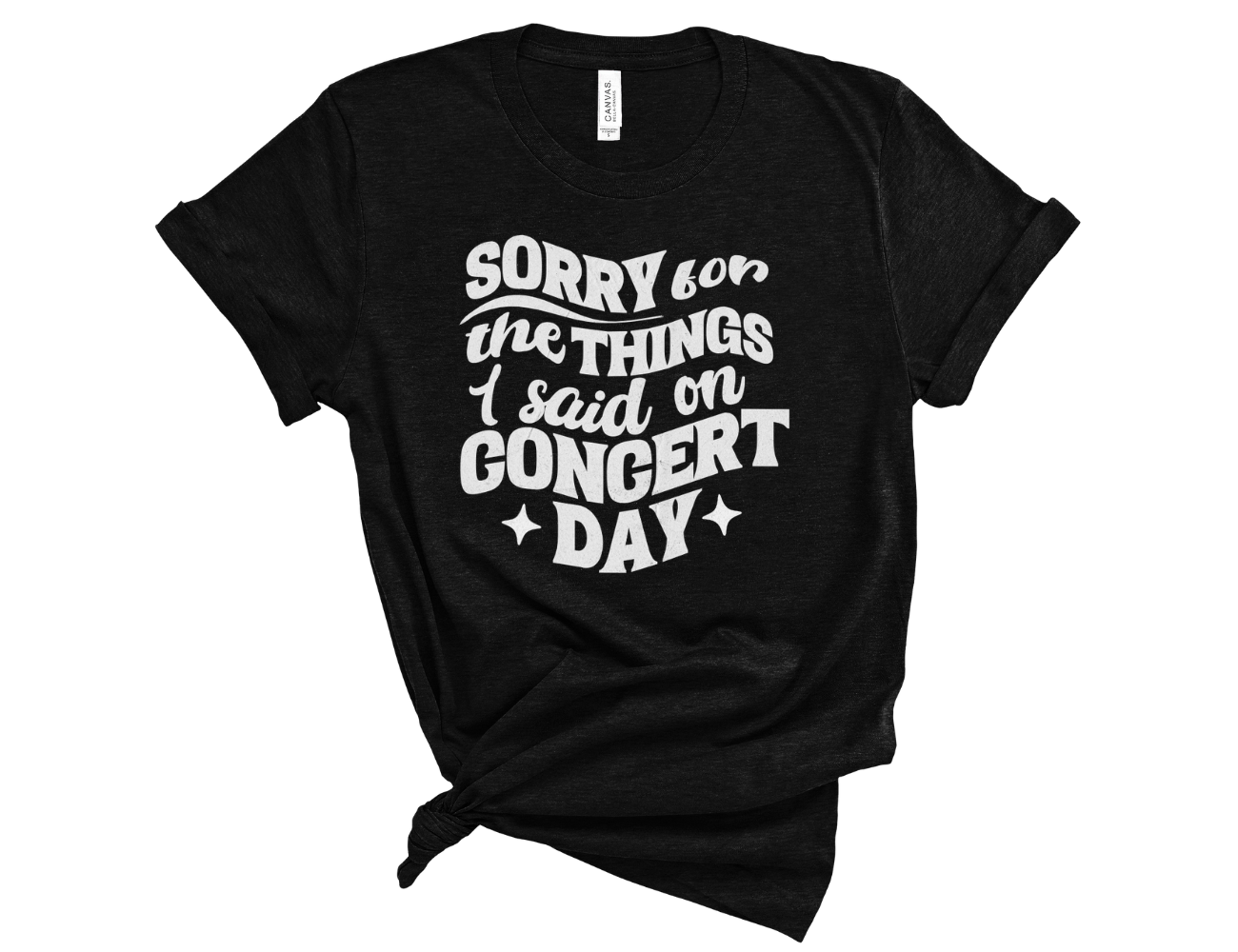 Sorry for the Things I Said on Concert Day Unisex Tee