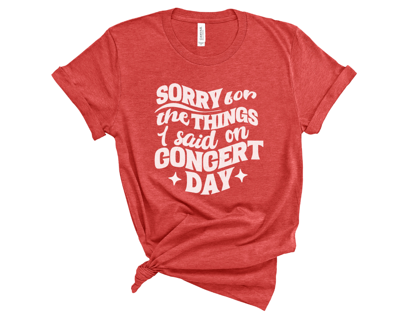 Sorry for the Things I Said on Concert Day Unisex Tee