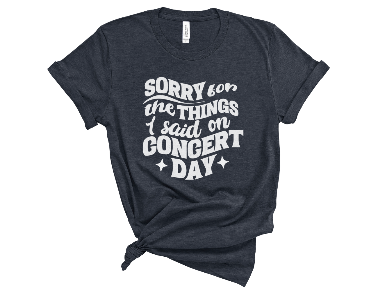 Sorry for the Things I Said on Concert Day Unisex Tee